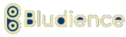 Bludience logo digital marketing lagos