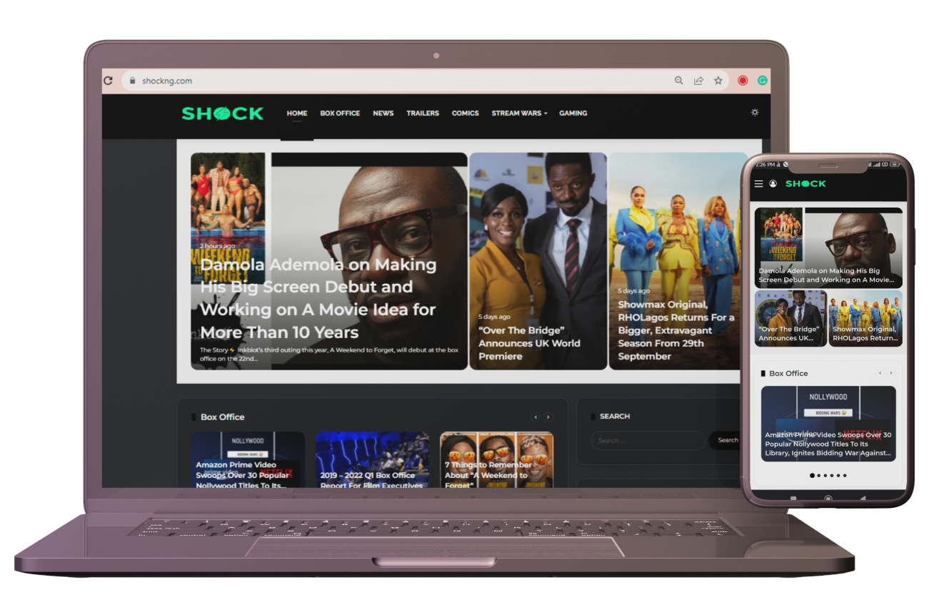 Blog Design & Developmet – ShockNG