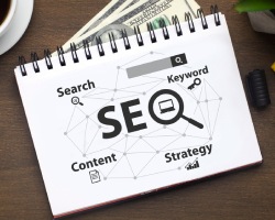 Search Engine Optimization (SEO) Bludience